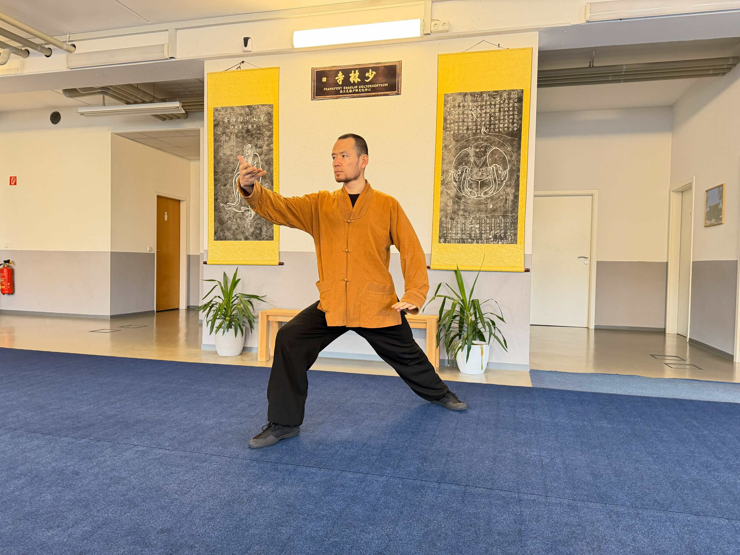 Tai-Chi Peking Form (24er Yang-Stil) - 2 Tage